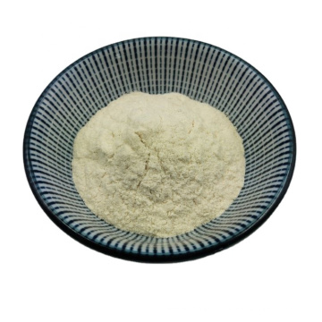 Wholesale top best lactobacillus  Probiotics powder 10B CFU/g